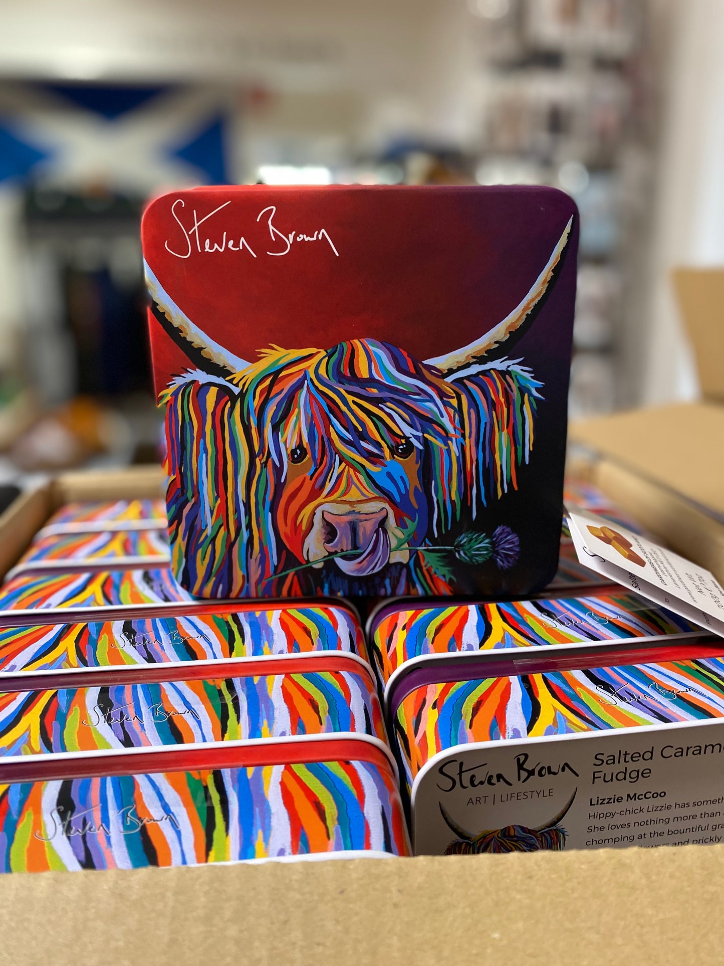 Lizzie McCoo Salted Caramel Fudge Tin 200g