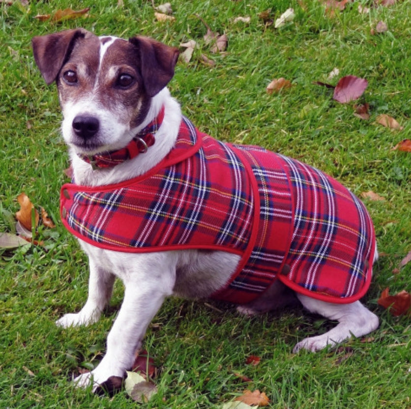 Tartan Dog Coat