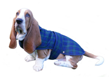 Tartan Dog Coat