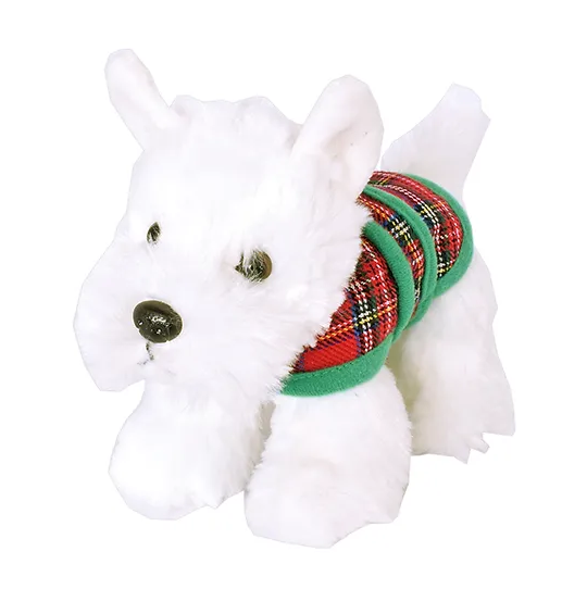 Westie with Tartan Jacket