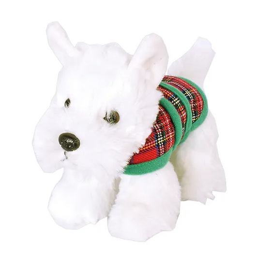 Westie with Tartan Jacket