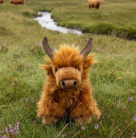 Buttercup Highland Cow