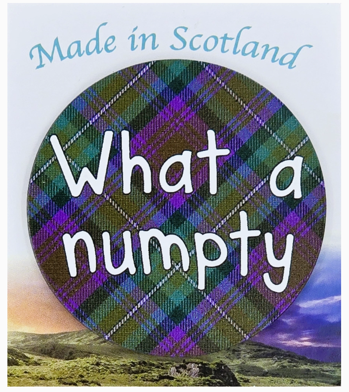 What a Numpty Magnet