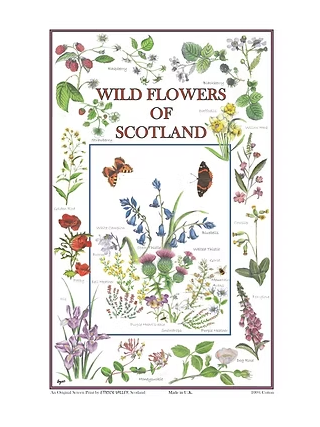 Wild Flowers of Scotland Tea Towel by Ettrick Valley, Scotland